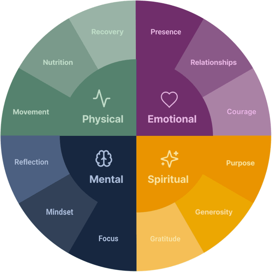 Resilience model wheel showing four dimensions: Physical, Emotional, Mental, and Spiritual